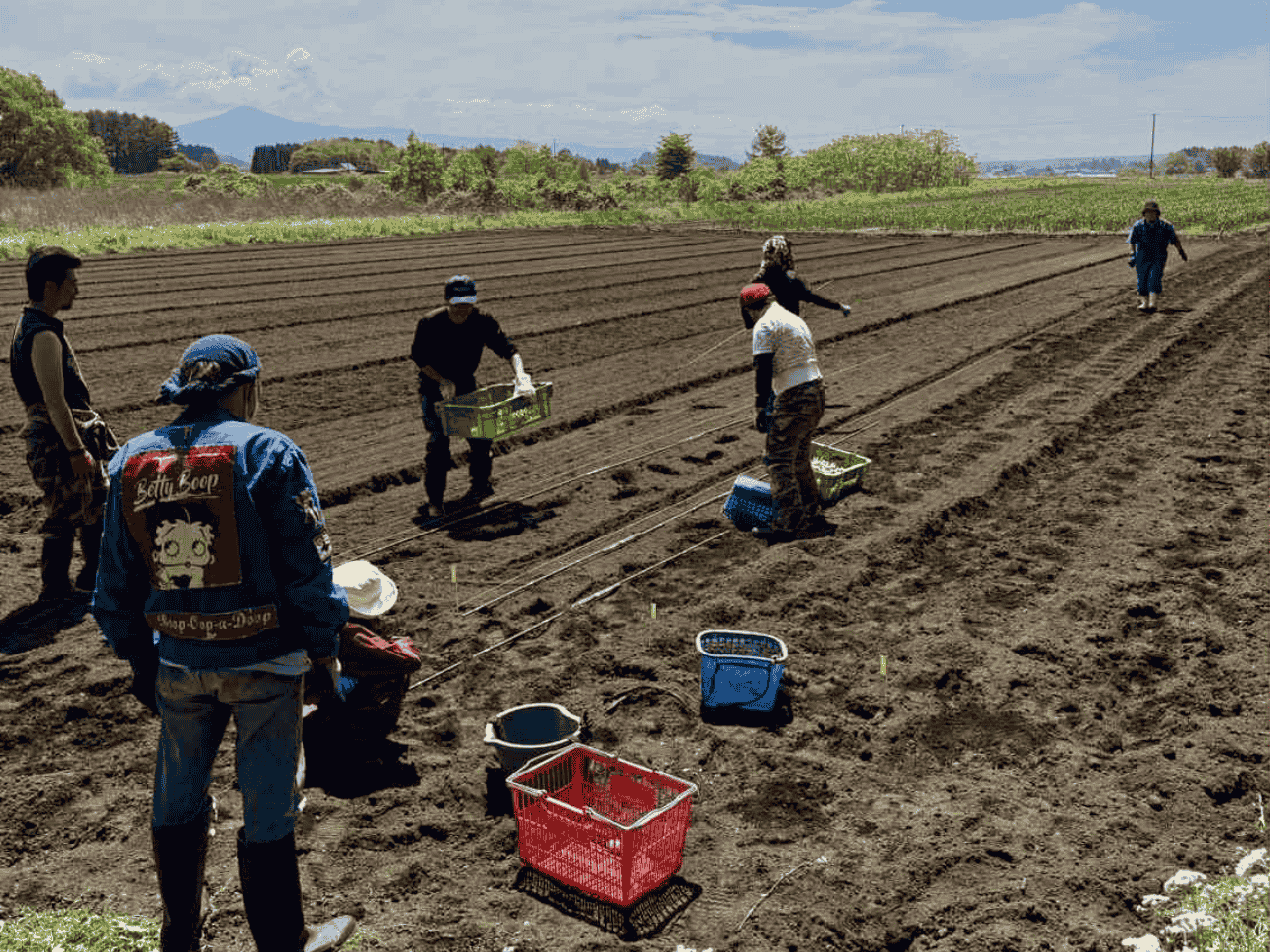 笑顔で働く多様なスタッフ